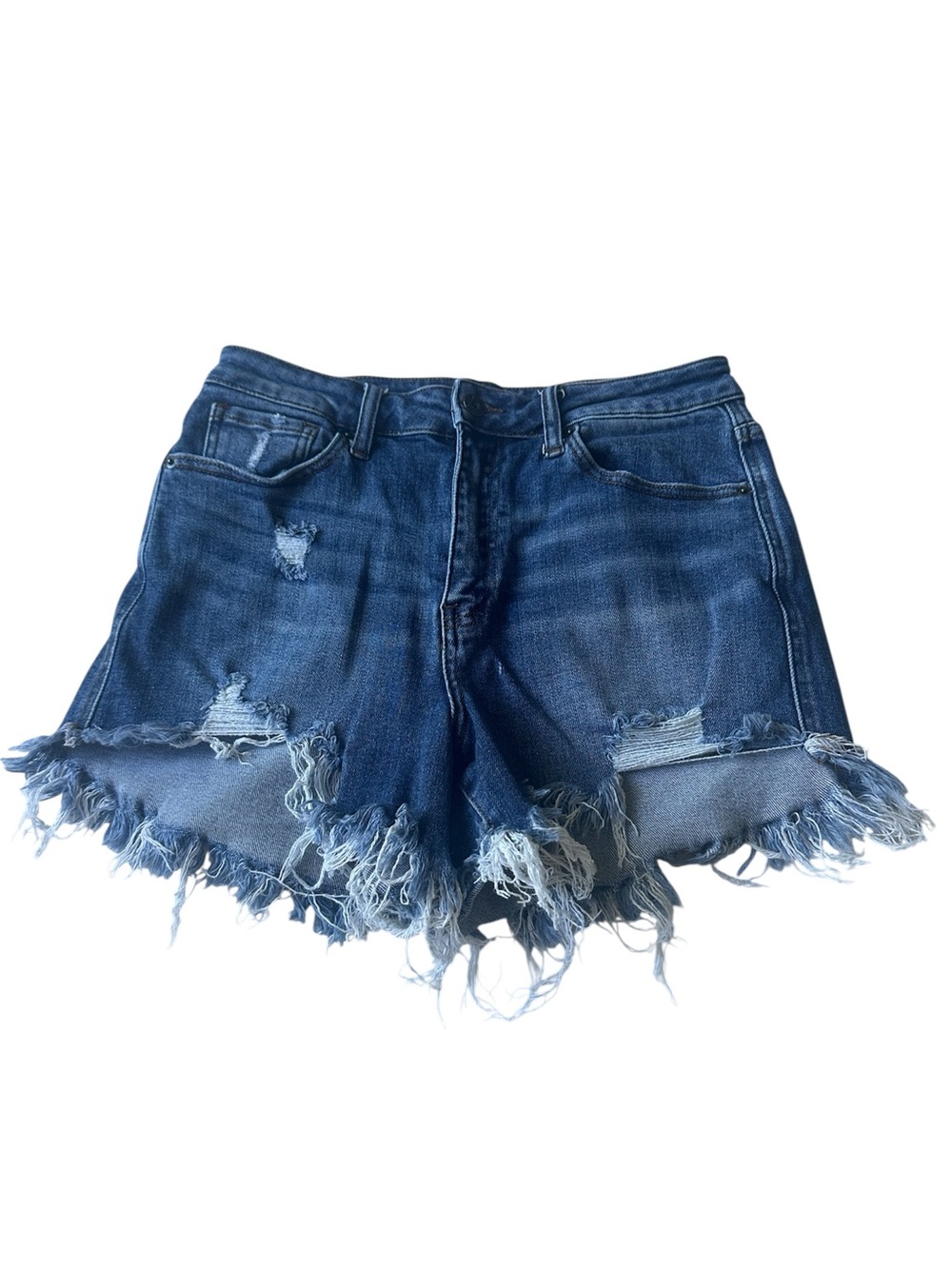 Risen High Rise Distressed Denim Shorts